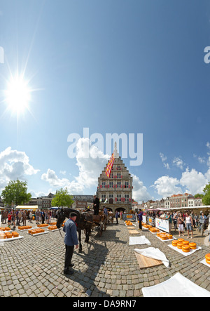 Niederlande, Holland, Europa, Gouda, Käse, Tradition, Markt, Stadt, Dorf, Sommer, Menschen, Pferd, Kutsche, Stockfoto