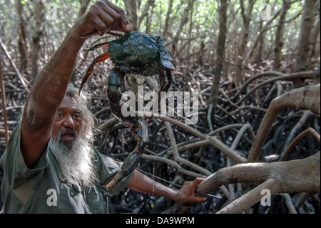 Mudcrabbing mit der einheimischen Tour guide Brian Lee in den Mangroven in der Nähe von One Arm Point, Cape Leveque, Dampier Peninsula Stockfoto