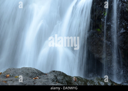 Pazifikküste, Corcovado Nationalpark, Costa Rica, Mittelamerika, Halbinsel osa, Küstenwald, Wald, Dschungel, Natur, Wat Stockfoto