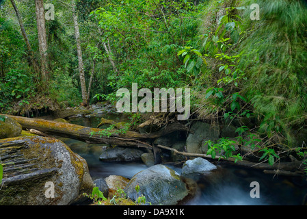 Mittelamerika, Costa Rica, San Gerardo de Dota, cloud-Eiche, Wald, Dschungel, Bach, Wald, Wasser, San Jose, Stockfoto