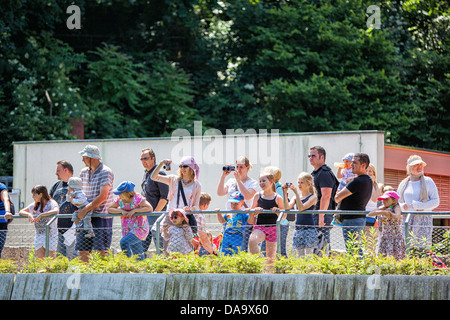 Krlsruhe Zoo. Deutschland. Stockfoto