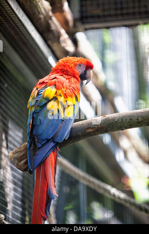 Krlsruhe Zoo. Deutschland. Stockfoto