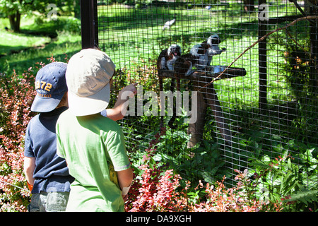 Krlsruhe Zoo. Deutschland. Stockfoto