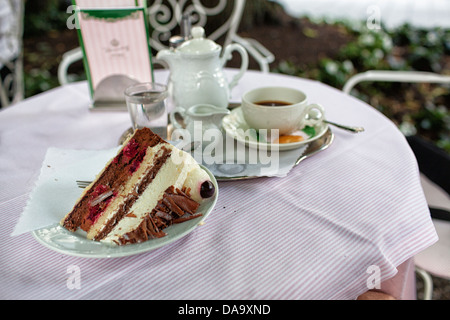 Black Forest Cake (Schwarzwälder Kirschtorte) in Baden-Baden. Deutschland. Stockfoto