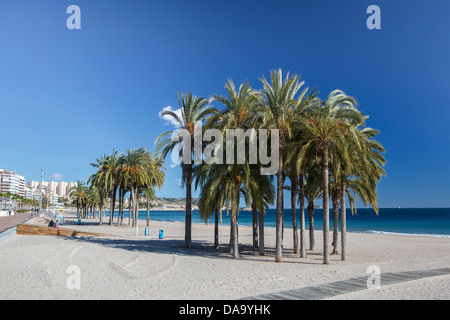 Spanien, Europa, Alicante, Costa Blanca, Strand, Küste, bunte, Costa, Mittelmeer, Palmen, Promenade, Skyline, touristische, Trave Stockfoto