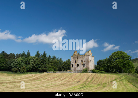 Newark-Turm. Bowhill House Estate, Selkirkshire. Schottland Stockfoto