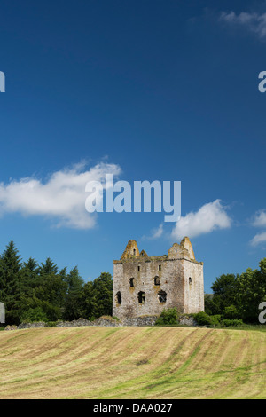 Newark-Turm. Bowhill House Estate, Selkirkshire. Schottland Stockfoto