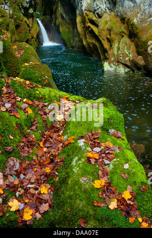 Gorges de l'Areuse, der Schweiz, Europa, Kanton Neuenburg, Schlucht, Fluss, fließen, Areuse, Wasserfall, Wasser, Herbst, Laub, Moos Stockfoto