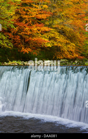 Gorges de l'Areuse, der Schweiz, Europa, Kanton Neuenburg, Schlucht, Fluss, fließen, Areuse, Wasserfall, Wasser, Herbst, Bäume Stockfoto