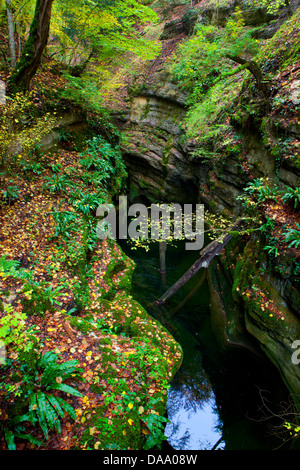 Gorges de l'Areuse, der Schweiz, Europa, Kanton Neuenburg, Schlucht, Fluss, Fluss, Areuse, Herbst, Bäume, Felsen, Klippen, Stockfoto