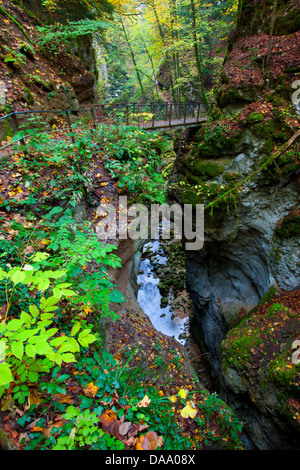 Gorges de l'Areuse, der Schweiz, Europa, Kanton Neuenburg, Schlucht, Fluss, Fluss, Areuse, Herbst, Bäume, Felsen, Klippen, Weg Stockfoto