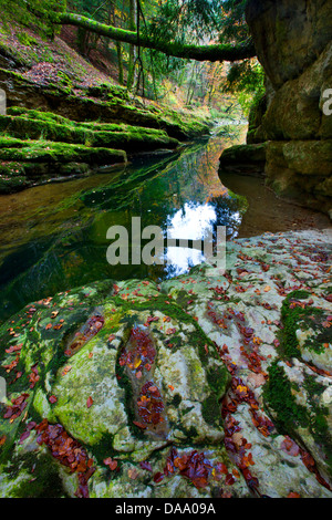 Gorges de l'Areuse, der Schweiz, Europa, Kanton Neuenburg, Schlucht, Fluss, Fluss, Areuse, Herbst, Bäume, Felsen, Klippen, Moos Stockfoto