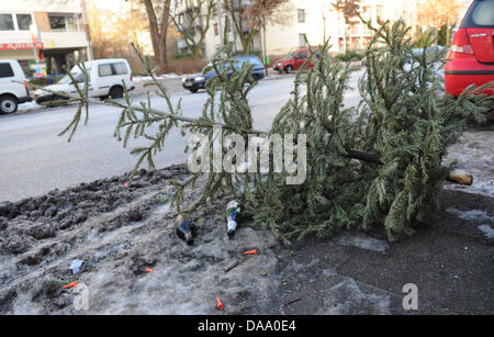 Einen ausrangierten Weihnachtsbaum liegt auf dem Bürgersteig in Hamburg, Deutschland, 2. Januar 2011. Zu Beginn des neuen Jahres löschte viele Menschen ihre Bäume auf den Gehwegen, wo sie durch die Stadt Reinigung abgeholt. Foto: Angelika Warmuth Stockfoto