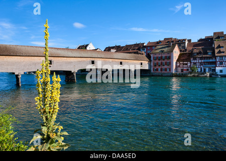 Diessenhofen, Schweiz, Europa, Kanton Thurgau, Fluss, Fluss, Rhein, Stadt, Altstadt, Häuser, Wohnungen, Brücke, Holzbrücke, pl Stockfoto