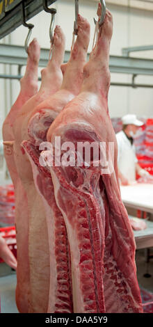 (Dpa-Datei) Ein Datei-Bild datiert 18. September 2010 der Magerschwein in Chemnitz, Deutschland. Wegen der Dioxin-Skandal in Deutschland gestoppt Südkorea Import von Schweinefleisch und Geflügel aus Deutschland am 8. Januar 2011. Foto: Hendrik Schmidt Stockfoto