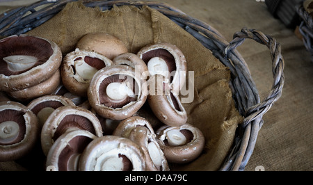 Braune Champignons in grauen Korb mit Jute-Tasche am rustikalen Tisch kauerte mit jute Stockfoto