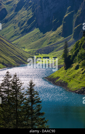 Fälensee, Schweiz, Europa, Kanton Appenzell Innerrhoden, Alpstein, Alm, See, Bergsee Stockfoto