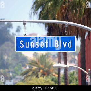 Sunset Blvd Straßenschild mit Palmen in Hollywood, Kalifornien. Stockfoto