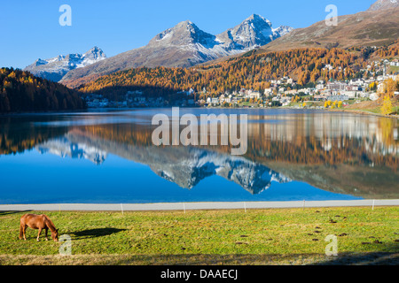 St. Moritz, Schweiz, Europa, Kanton Graubünden, Graubünden, Engadin, Engadin, Oberengadin, St. Moritz See spiegeln Stockfoto