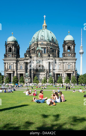 Beschäftigt der Lustgarten vor dem Dom oder Dom auf der Museumsinsel in Berlin Deutschland Stockfoto