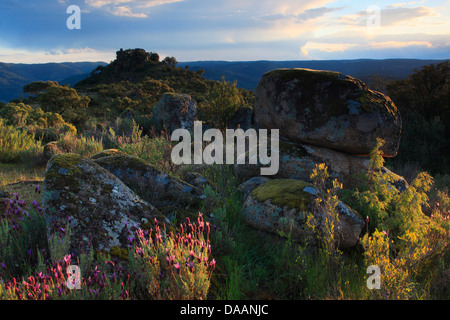 Abend, Abendstimmung, Andalusien, Baum, Berge, Bäume, Klippe, Felsen, Klippe, Berge, Bergbahn, Nationalpark, Sierra d Stockfoto