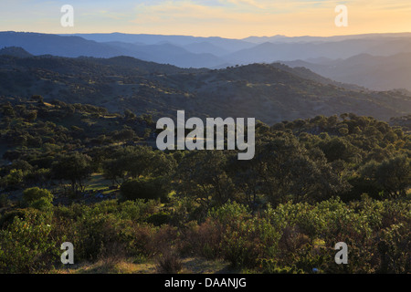 Abend, Abendstimmung, Andalusien, Baum, Berge, Bäume, Klippe, Felsen, Klippe, Berge, Bergbahn, Nationalpark, Sierra d Stockfoto