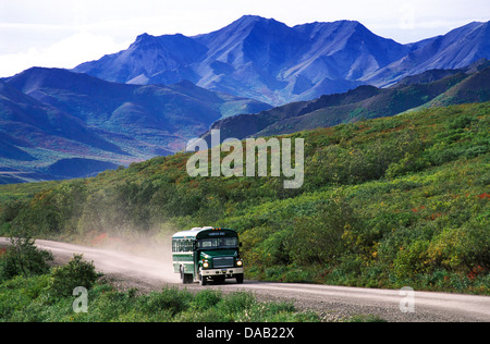 Shuttle-Busse, Kantishna Straße, Denali, Nationalpark, Preserve, Alaska, USA, Bus, Berge, Sonne, Urlaub, Abenteuer, üppigen la Stockfoto