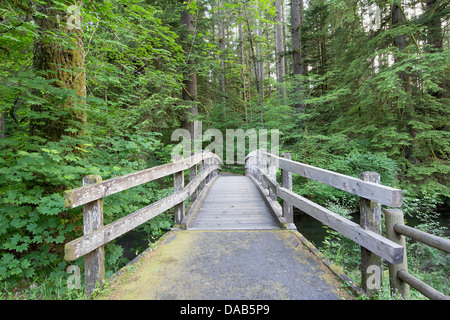 Hölzerne Fußgängerbrücke über Wanderweg in Silber fällt Oregon State Park Stockfoto