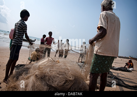 Fischer Fische aus Netzen am Strand entfernt. Puri, Orissa, Indien Stockfoto