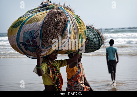 Frauen tragen riesige Paket der Blätter auf dem Kopf durch die Beach. Puri, Orissa, Indien Stockfoto