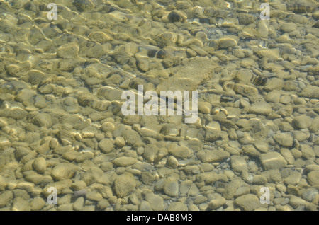 Steinen unter Wasser Stockfoto