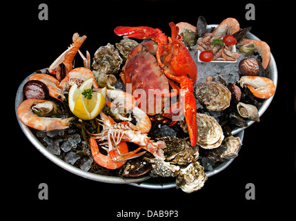 Fruits de Mer französische Meeresfrüchte Austern Garnelen Hummer Immergrün Krabben Garnelen Scampi Muscheln Muscheln Muscheln Stockfoto