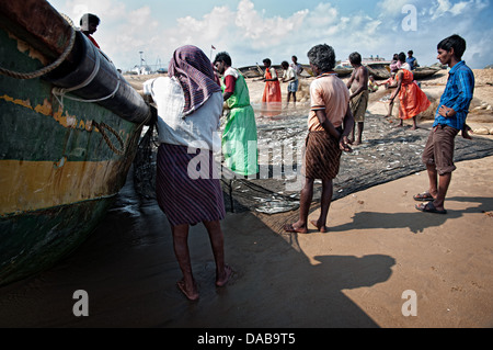 Fischer Fische aus Netzen am Strand entfernt. Puri, Orissa, Indien Stockfoto