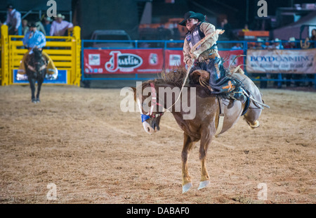 Ein gefällter Pferd Wettbewerb beim Helldorado Tage Professional Rodeo Cowboy Teilnehmer in Las Vegas Stockfoto