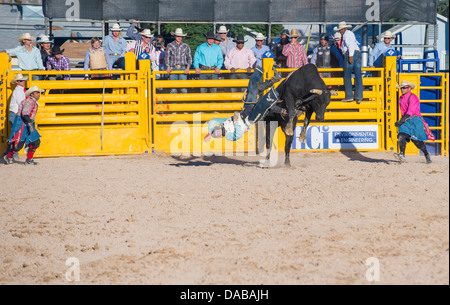 Cowboy-Teilnehmer in einem Bullenreiten Wettbewerb beim Helldorado Tage Professional Rodeo in Las Vegas Stockfoto