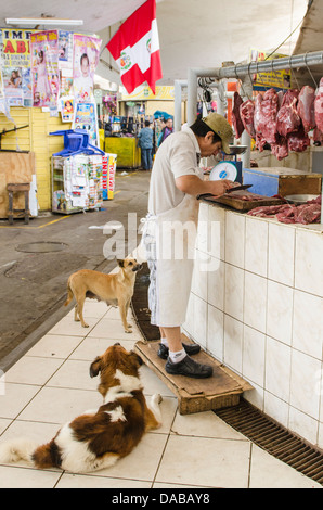 Metzgerei Fleisch Fleisch Shop Stand Stand Einkaufen in lokalen Zentralmarkt Marktplatz in Chiclayo, Peru. Stockfoto