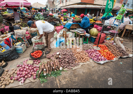 Gemüse Gemüse Lieferanten Geschäfte Ständen Einkaufen in lokalen Zentralmarkt Marktplatz in Chiclayo, Peru. Stockfoto