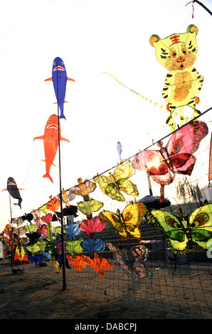 Bunte Drachen zum Verkauf am Fluss Yangtze in der Stadt Wuhan in der Provinz Hubei China Stockfoto