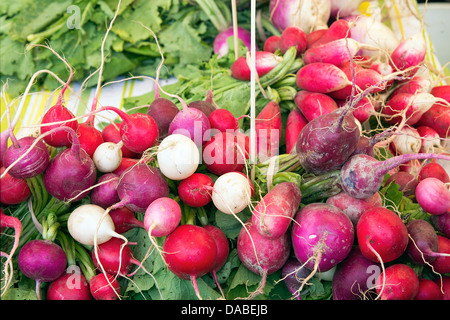Erbstück und Osterei bunter Rettich Trauben an Bauern Markt Obst und Gemüse Stall Stockfoto