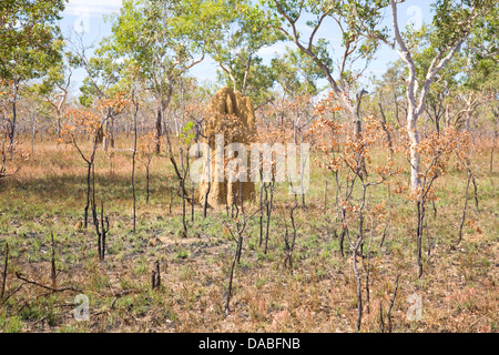 Kakadu Nationalpark, Australien Stockfoto