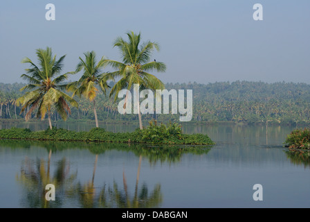 Kerala Backwaters Kokos Bäume Querformat Stockfoto