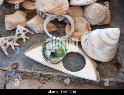 Trochus Perle Meer Muscheln für die Schaltfläche "Produktion One Arm Point, Cape Leveque, Western Australia, angebaut werden Stockfoto