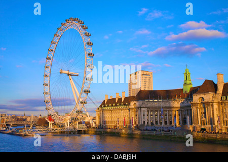 Das London Eye, London, England, Vereinigtes Königreich, Europa Stockfoto