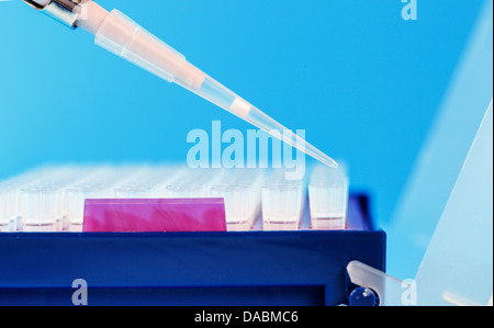 Pipette und multiwell Stockfoto