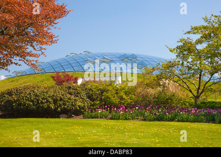 Nationaler Botanischer Garten von Wales, Llanarthne, Carmarthenshire, Wales, Vereinigtes Königreich, Europa Stockfoto