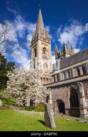 Llandaff Cathedral, Llandaff, Cardiff, Wales, Vereinigtes Königreich, Europa Stockfoto