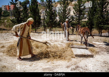 Nazareth Village, Neuerstellung von Nazareth in der Zeit von Jesus von Nazareth, unteren Galiläa Region, Israel, Naher Osten Stockfoto