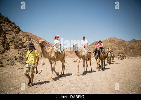 Kamel-Safari in der Wüste, Eilat Negev Region, Israel, Nahost Stockfoto