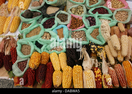 Kolben des Mais in verschiedenen Farben zum Verkauf auf dem Outdoor-Lebensmittelmarkt in Cotacachi, Ecuador Stockfoto