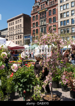 Union Square Greenmarket, NYC Stockfoto